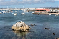 Port of Monterey, CA