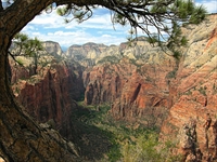 View from Angel's Landing in Zion National Park